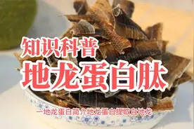 知识科普地龙蛋白肽