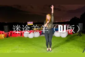 伤感情歌也动听！一首DJ版《迷途羔羊》，非常好听视频封面