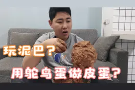 小伙用鸵鸟蛋来做皮蛋，能成功吗？帅哥靓女们快来围观视频封面