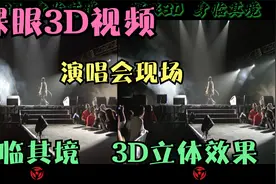 裸眼3D视频，韩国偶吧演唱会现场，3D立体视觉，身临其境震撼体验视频封面