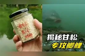 都说加了甘松的酒米窝料能爆护，真有那么厉害？水下测试揭露真相视频封面