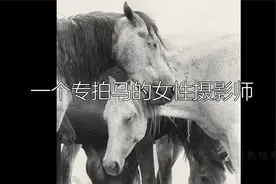 一个专拍马的女性摄影师Bev Pettit 美国视频封面