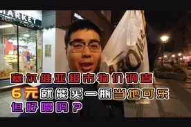 塞尔维亚超市物价调查，买6元一瓶的当地特产可乐，但它好喝吗？视频封面