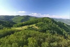 金猴奋起千钧棒，玉宇澄清万里埃。----毛泽东视频封面