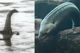尼斯湖水怪谜底揭开？科学家：有可能是巨型鳗鱼视频封面