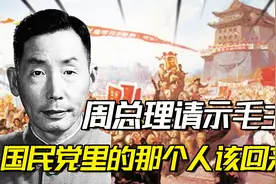 1950年中国基本解放，周总理却请示毛主席：该让张克侠恢复名誉了视频封面