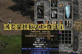 暗黑2盾击圣骑士完整教程加上实战，掉落满变量火炬真开心视频封面