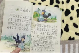 语文教材一年级下册老版教材视频封面