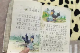 语文教材一年级下册老版教材视频封面