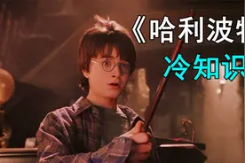 【冷知识】盘点《哈利波特》电影中那些你可能不知道的冷知识视频封面