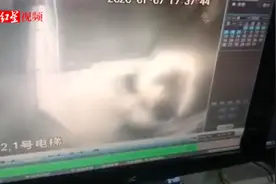 女业主电梯内遭陌生男子捂嘴勒脖：“电梯经过自家楼层时已绝望”视频封面
