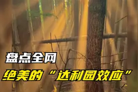 盘点全网绝美的“达利园效应”，这届网友太有才了！视频封面