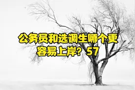 公务员和选调生哪个更容易上岸？57视频封面