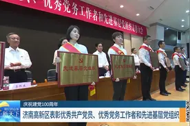 济南高新区优秀共产党员、优秀党务工作者和先进基层党组织受表彰视频封面