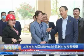上海市东方医院院长刘中民到东方考察调研视频封面