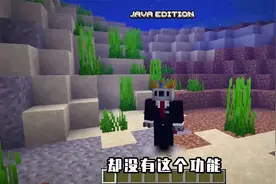 我的世界,JAVAvs基岩,j,v,版虚空是无底洞,基岩版虚空有尽头!
