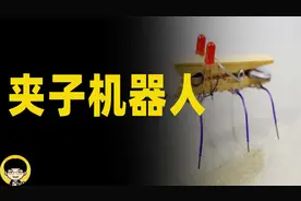 夹子机器人代码演示，自动交易机器人搬砖套利土狗项目真能赚钱吗视频封面