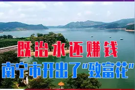 既治水还赚钱，大王滩水库坚持生态治水，南宁市开出了“致富花”视频封面
