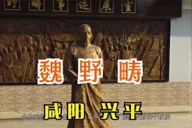 陕西革命先驱魏野畴，最早在陕西传播马克思主义，毛主席高度评价视频封面