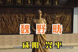 陕西革命先驱魏野畴，最早在陕西传播马克思主义，毛主席高度评价视频封面