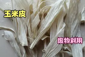 玉米皮不要扔了，废物利用，可以编制很多家用的东西视频封面
