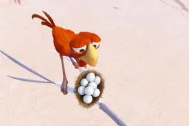 笨鸟你就不能找个安全的地方孵蛋吗？你看看你的鸟蛋又掉了