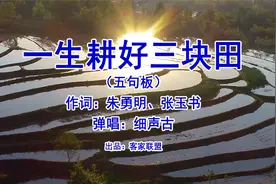 五句板山歌《一生耕好三块田》，如何耕好人生三块田？视频封面