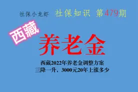 西藏2022年养老金调整方案：三降一升视频封面