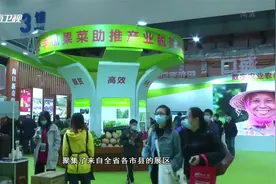海南十大农产品地理标志亮相 优质品牌为脱贫攻坚带来强力续航视频封面