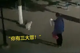 这是高校！陕西一男子霸气斥责校园流浪猫：你要做一个有礼貌的猫