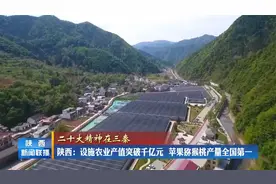 陕西：设施农业产值突破千亿元  苹果猕猴桃产量全国第一视频封面