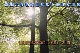 小学经典课文朗诵：艾青现代诗《绿》，9岁腼腆男孩深情演绎视频封面