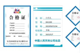 Excel 合格证套版打印视频封面