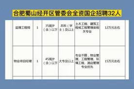 合肥蜀山经开区管委会国企招聘32人，大专可报专业不限，20万/年视频封面