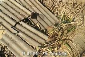 农村人大冬天怕地里大葱冻坏，这样挖坑储存，用大葱烙饼吃很美味视频封面