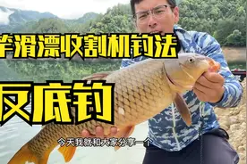 矶竿滑漂收割机钓法之反底钓法，钓不到10斤的鲤鱼你来找我