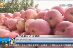 静宁：山地苹果映红乡村振兴路视频封面