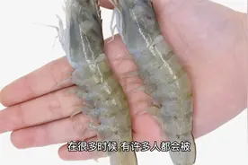 不再纠结！直虾弯虾该选哪？老渔民全方位为您解析真到位视频封面