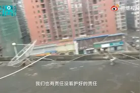 湖南4岁男童楼顶玩耍不慎坠亡，母亲-老人没看好，楼顶应装护栏视频封面