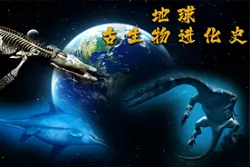 带你了解地球生物进化史，人类相对于地球的46亿年，只是沧海一粟