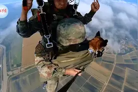 勇敢汪汪队！军犬1200米高空跳伞一脸淡定视频封面