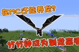 我的世界：在MC还能养龙？这个模组分分钟让你变成驯龙高手！视频封面