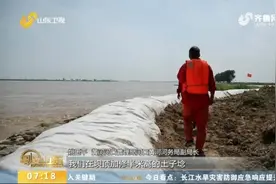 黄河山东段大流量过程持续，堤坡穿上“防护服”，防汛进入关键期