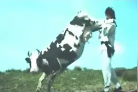 世界之最,仅此一部!人牛打战~2视频封面