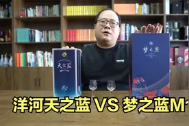 300元左右，洋河天之蓝和梦之蓝M1，哪个更值得买？视频封面
