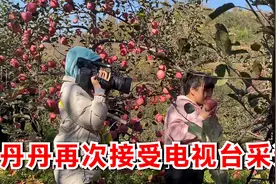 鹏鹏丹丹再次接受电视台采访，付出努力终有收获，再苦再累也值得视频封面