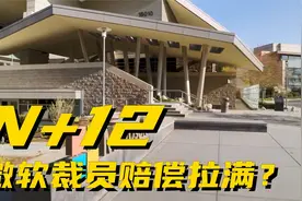 N+12，多赔12月的工资，微软裁员赔偿直接拉满了？网友：实名羡慕视频封面
