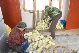 一眼没照顾到，大白菜开始烂了，剩下的大白菜再吃俩月没问题视频封面