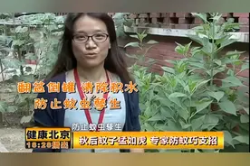 怎样才能彻底灭蚊？教您找出家里的蚊子窝，快来看看吧|健康北京