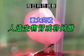 重大突破！人造生物肾或将问世